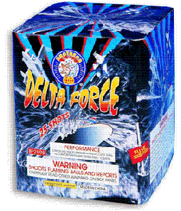 BROTHERS DEADLY FORCE- CASE 12/1